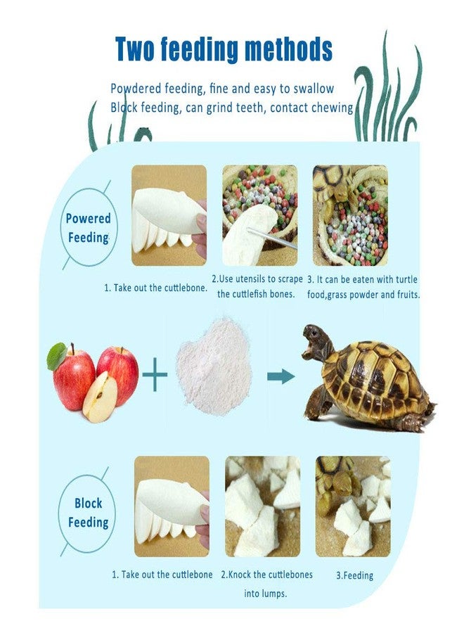 Mivofun 2PCS Natural Cuttlebone for Tortoise Turtles Snails Birds Cockatiels Parakeets Budgies Reptiles Small Animals(4"-4.5",Small) - Image 4